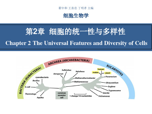 细胞生物学翟中和编-第章细胞的统一性与多样性资料PPT课件