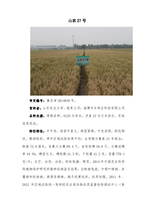 高产抗病小麦种子,山农27