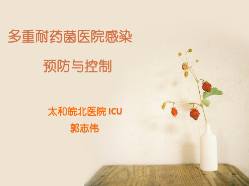 多重耐药菌院感预防与控制PPT课件