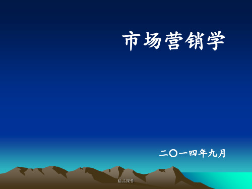 第12讲水平营销ppt课件