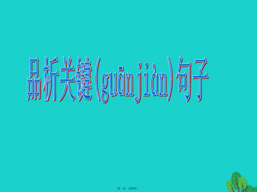 广东省东莞市寮步信义学校中考语文专项复习品析关键句子课件新人教版