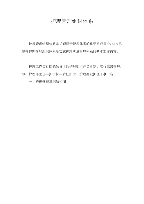 护理管理组织体系