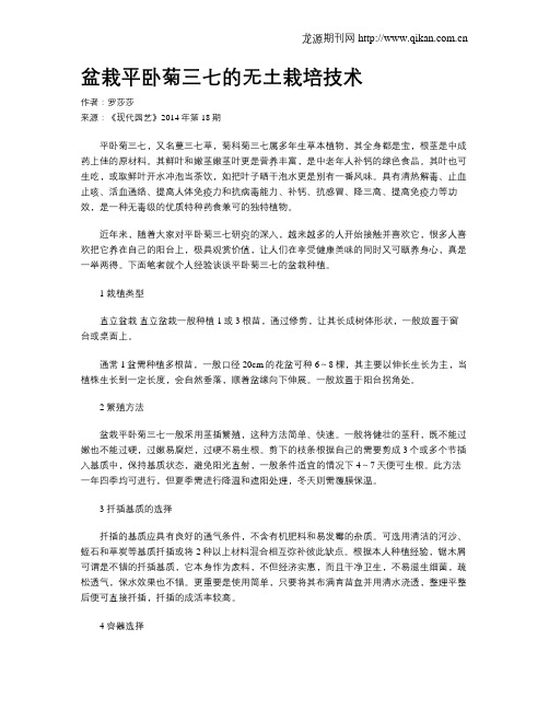 盆栽平卧菊三七的无土栽培技术