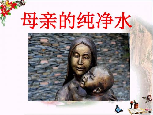 《母亲的纯净水》PPT教学课件