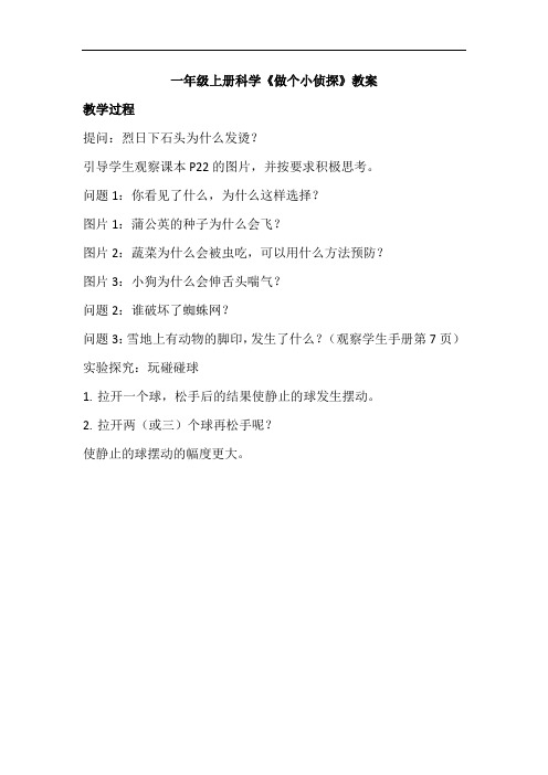 一年级上册科学《做个小侦探》教案