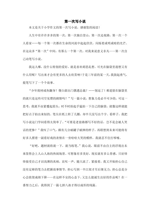 第一次写小说_小学作文