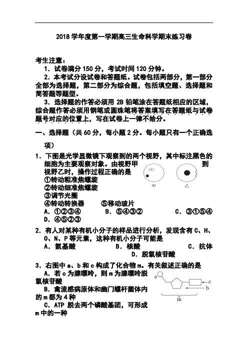 最新-2018届上海市闸北区高三上学期期末练习(一模)生
