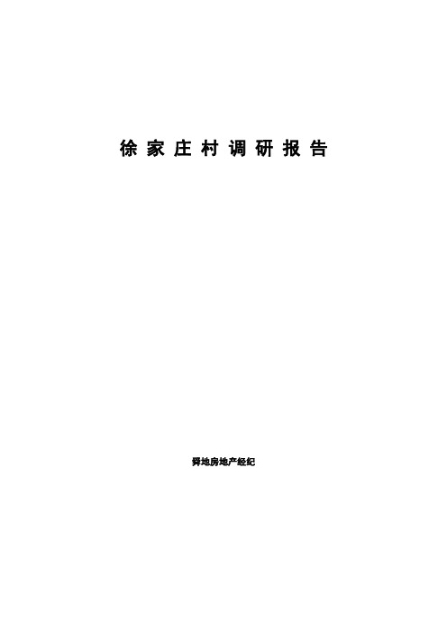 石家庄徐家庄村调研报告