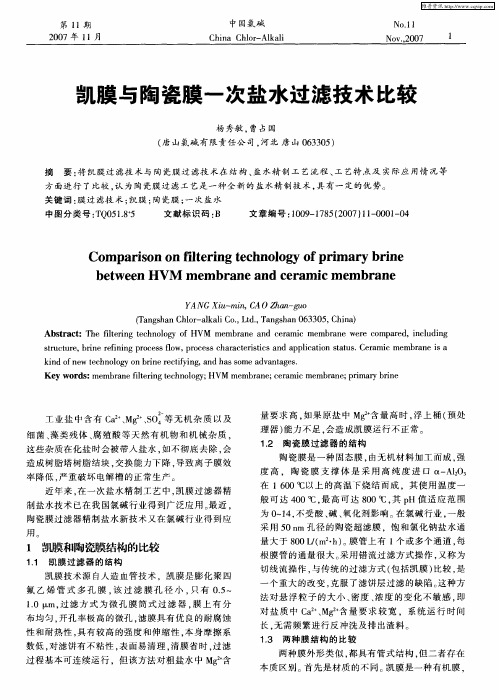 凯膜与陶瓷膜一次盐水过滤技术比较