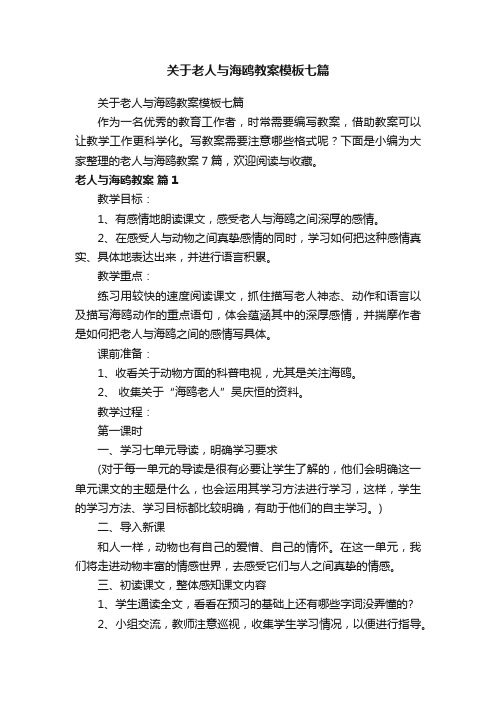 关于老人与海鸥教案模板七篇