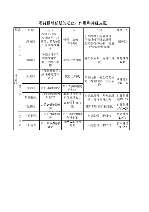 项背腰骶