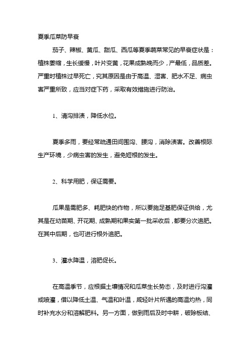 夏季瓜菜防早衰
