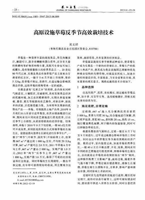 高原设施草莓反季节高效栽培技术