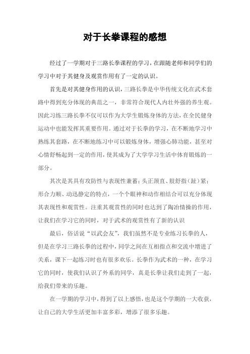 对于长拳课程的感想