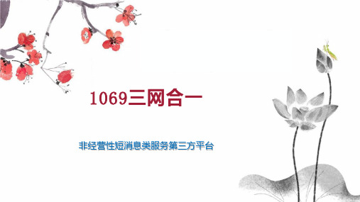 1069三网合一