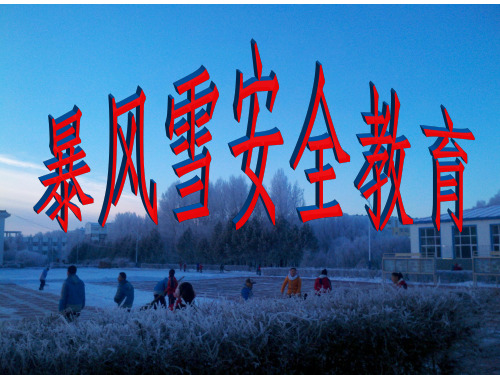 主题班会课件：【安全教育】暴风雪安全教育课件(共12张PPT)