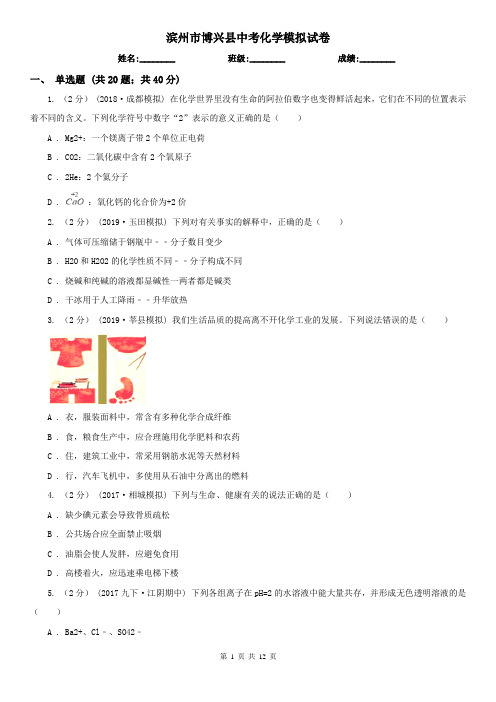 滨州市博兴县中考化学模拟试卷