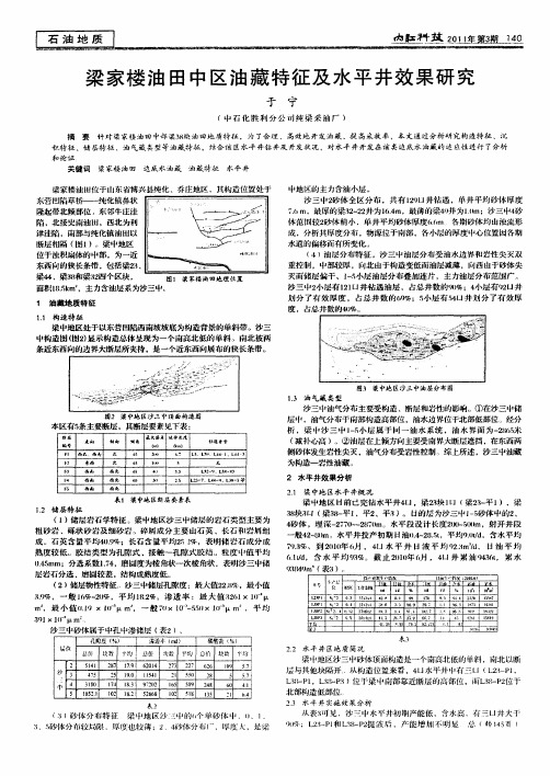 梁家楼油田中区油藏特征及水平井效果研究