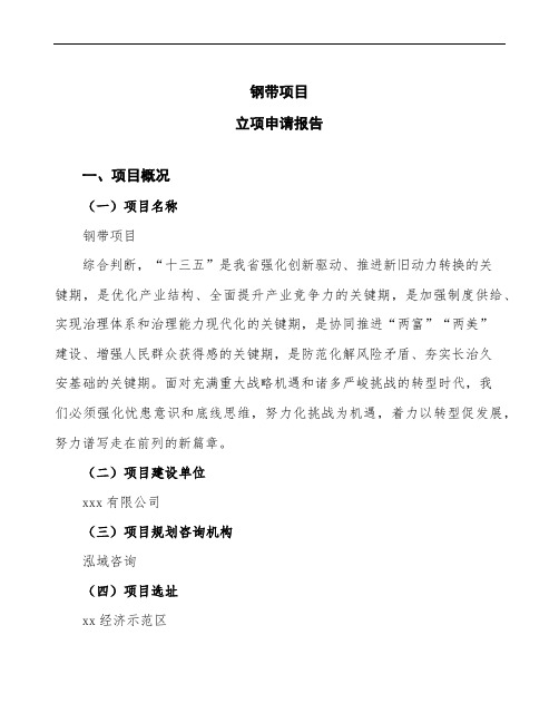 钢带项目立项申请报告(模板范文)