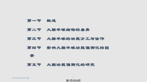 大脑功能的偏侧化