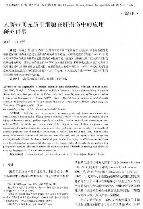 人脐带间充质干细胞在肝损伤中的应用研究进展