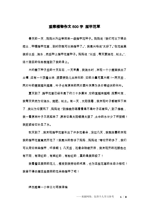 观察植物作文500字 指甲花草