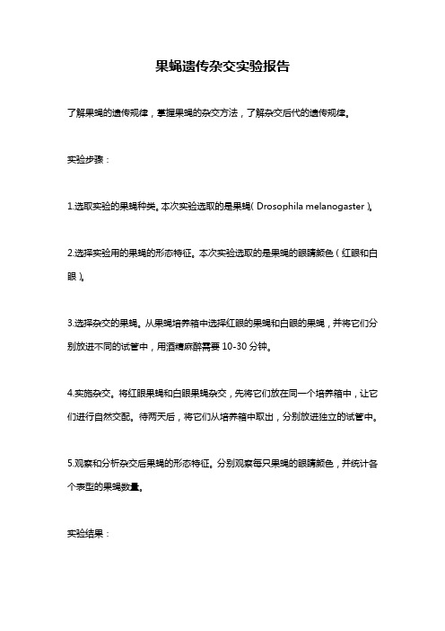 果蝇遗传杂交实验报告