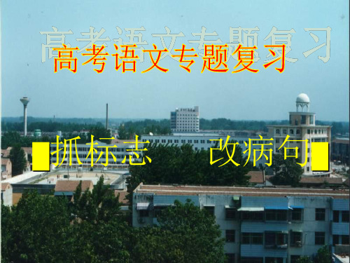 2011届高考语文一轮复习修改病句PPT课件