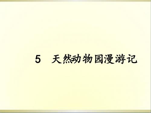 六年级语文上册5《天然动物园漫游记》课件5北京版