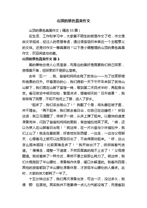 山顶的景色真美作文（精选55篇）