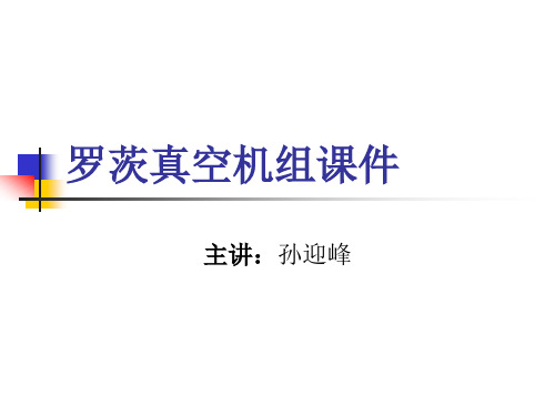 罗茨真空机组课件