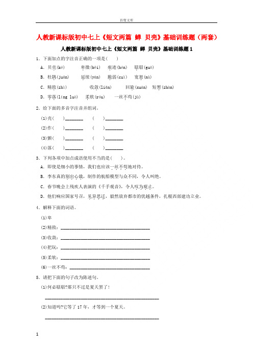 短文两篇蝉贝壳检测