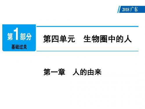 人教版生物2019年广东中考总复习：第4单元 第1章 人的由来