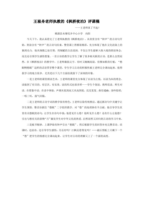 评王崧舟老师执教的
