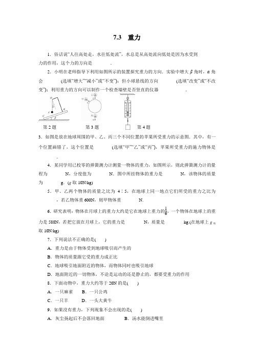 人教版物理八年级下同步训练：7.3  重力(包含答案)