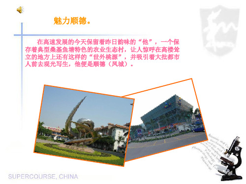 魅力顺德