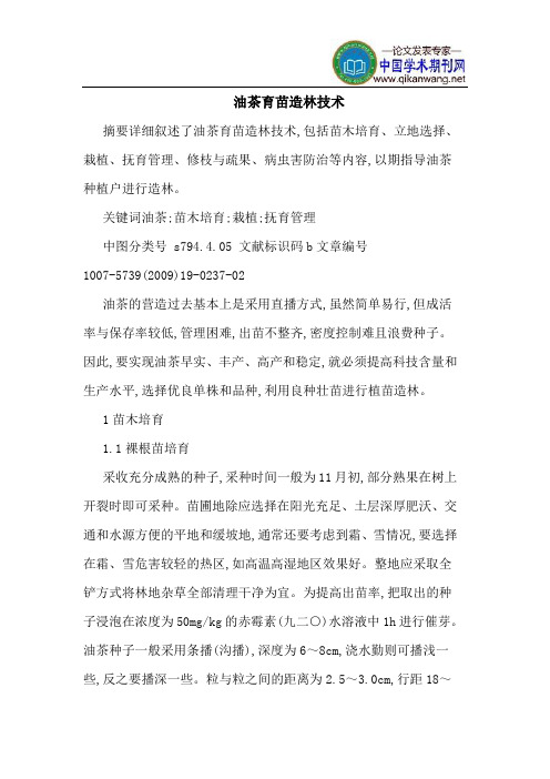 油茶育苗造林技术
