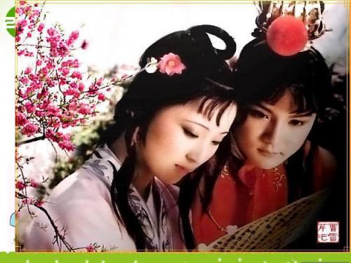 高中语文 宝黛初会课件
