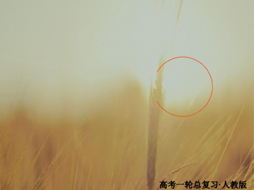 2018版高考一轮总复习英语课件：1-3-2必修3Unit 2 Healthy eating 精品