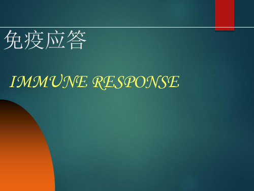 免疫学免疫应答