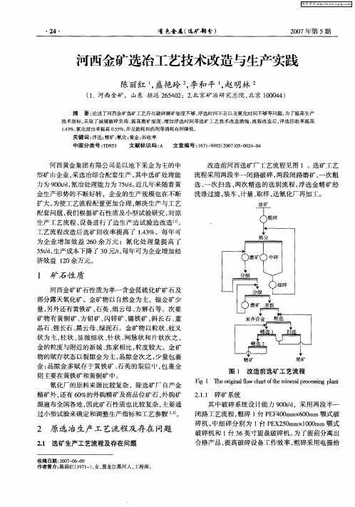 河西金矿选冶工艺技术改造与生产实践