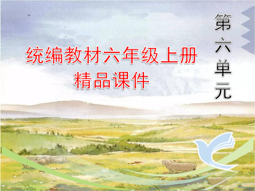 统编版语文六年级上册第六单元精品课件完美ppt