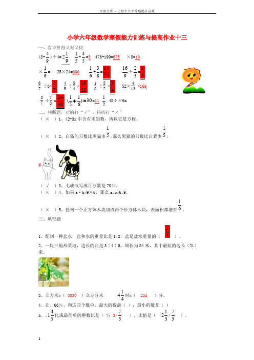 六年级数学寒假能力训练与提高1513苏教版