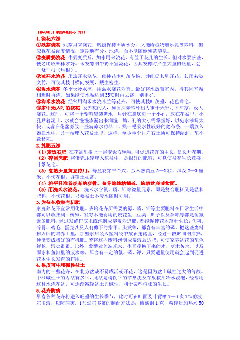 养花窍门