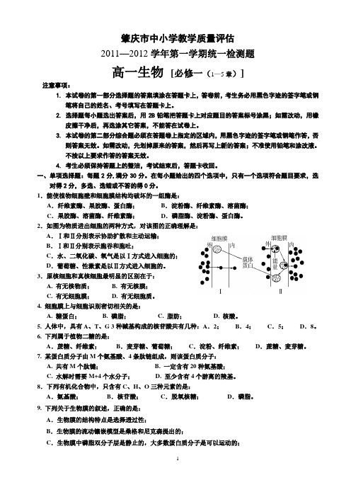 上学期期末考试生物试题以及答案