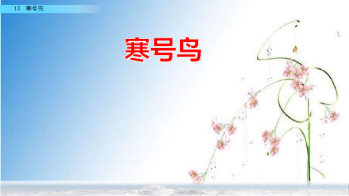 部编人教版小学二年级上册语文《寒号鸟》课件