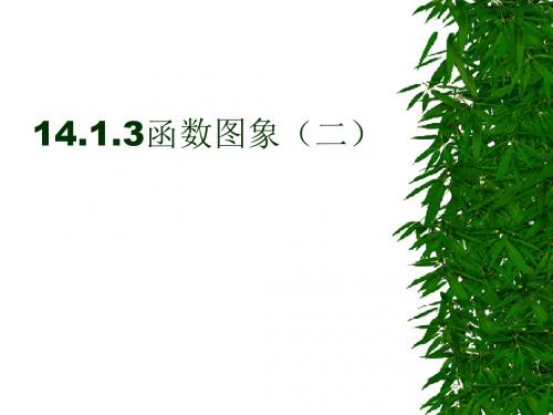 数学：14.1《变量与函数》(第4课时)课件(人教新课标八年级上)