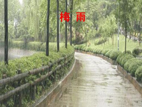 锋与天气