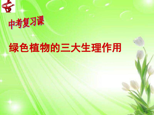 绿色植物的三大生理作用复习课