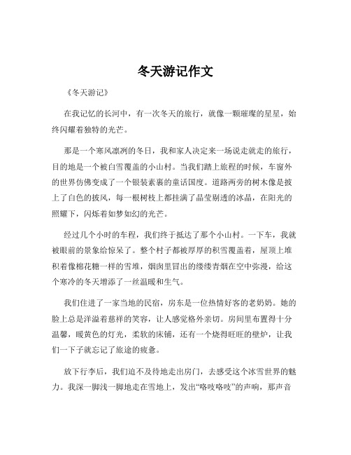 冬天游记作文